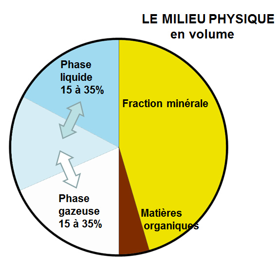 un sol cultivé : c'est 50 % de porosité en volume un sol cultivé : c'est 50 % de porosité en volume